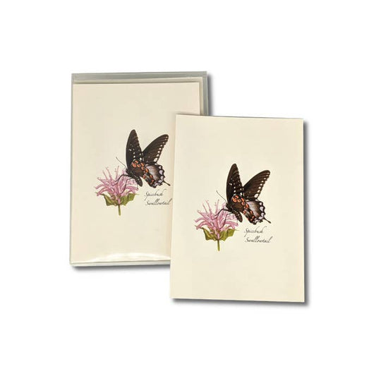 Earth Sky + Water - Spicebush Swallowtail Butterfly