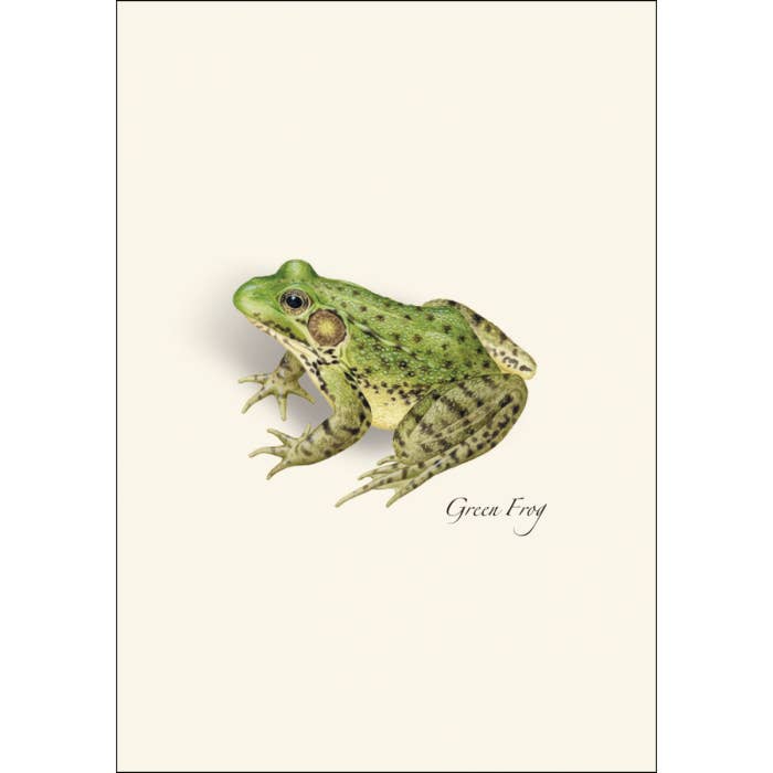 Earth Sky + Water - Frog & Toad Assortment