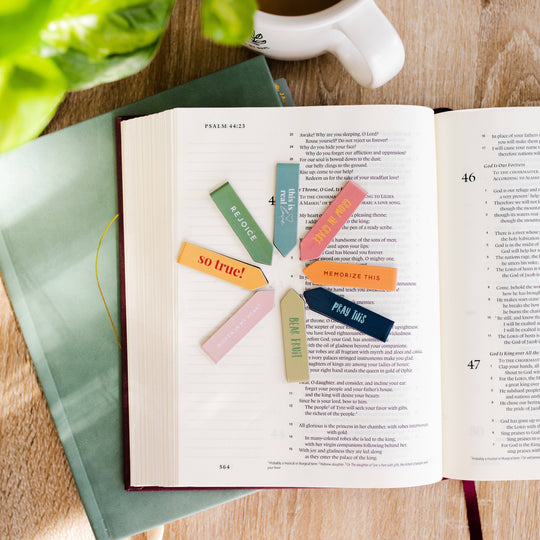 The Daily Grace Co - Bear Fruit Mini Magnetic Bookmark Set