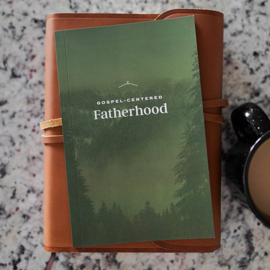 The Daily Grace Co. – Gospel-Centered Fatherhood