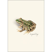 Earth Sky + Water - Frog & Toad Assortment