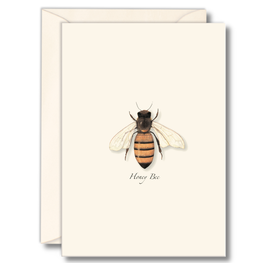 Earth Sky + Water - Honey Bee