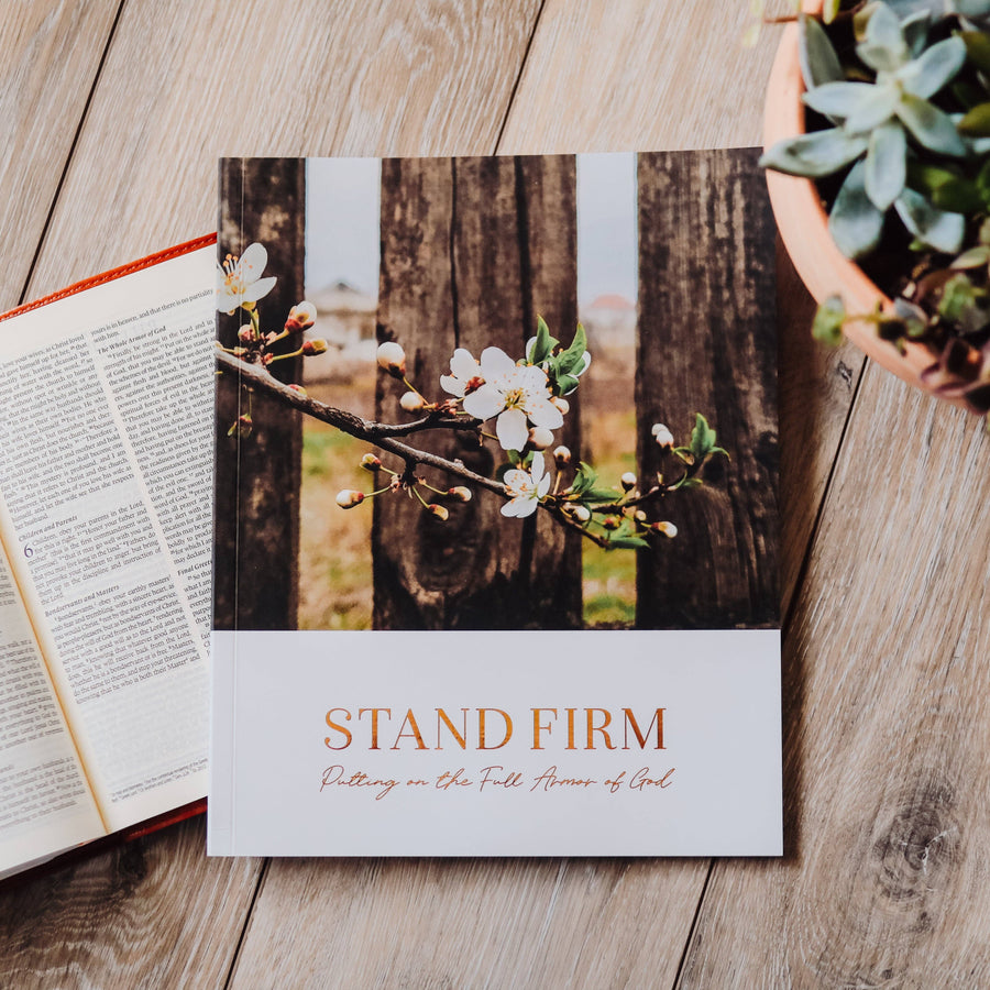 The Daily Grace Co - Stand Firm | Armor of God Study