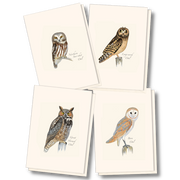 Earth Sky + Water - Sibley Owl Assortment