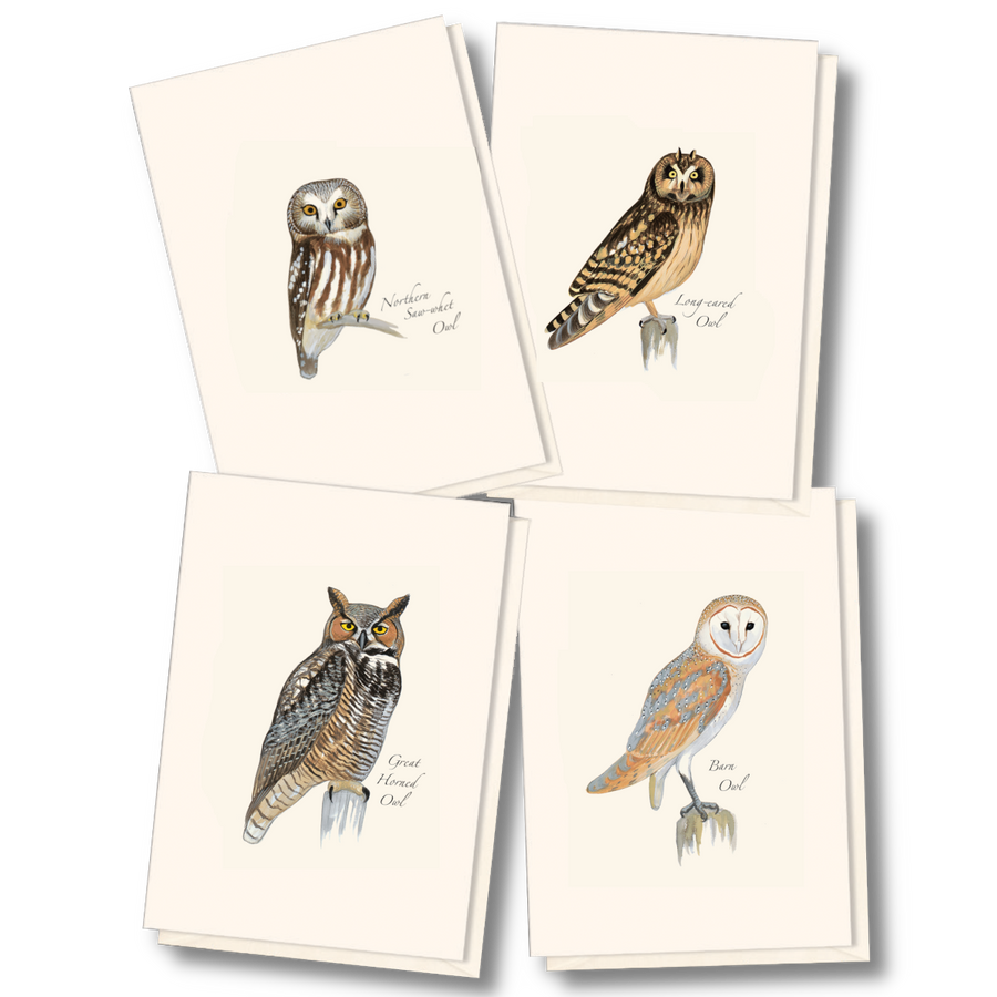 Earth Sky + Water - Sibley Owl Assortment