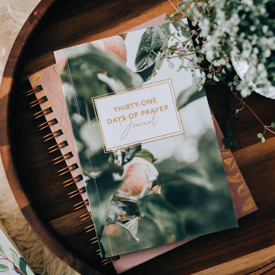 The Daily Grace Co - Thirty-One Days of Prayer Booklet
