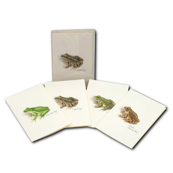 Earth Sky + Water - Frog & Toad Assortment