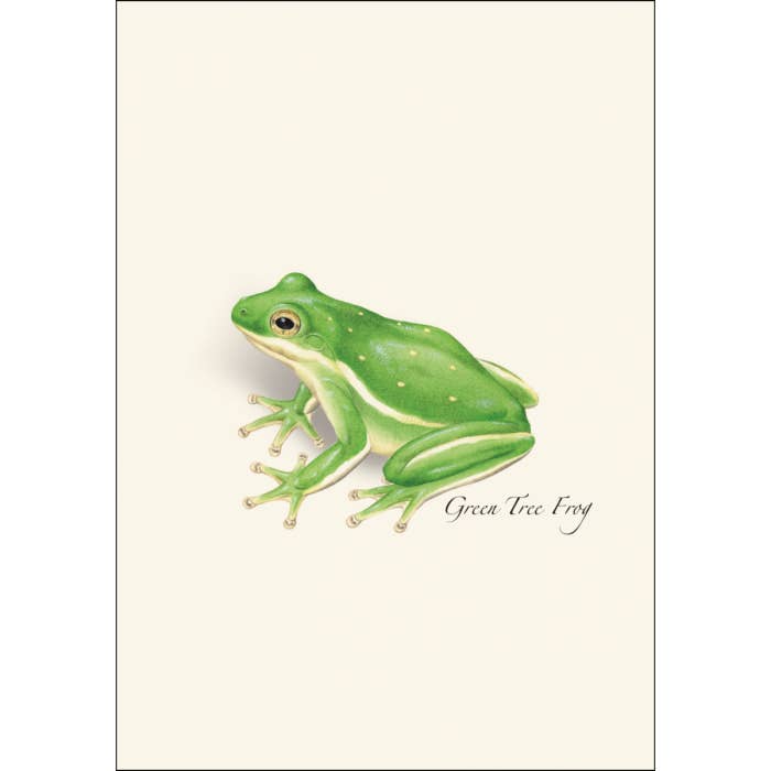 Earth Sky + Water - Frog & Toad Assortment