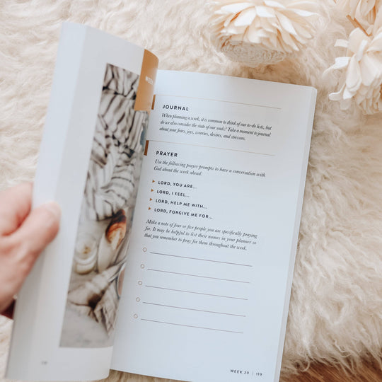 The Daily Grace Co - Fix Your Focus | A 52-Week Guide to Help You Put God First