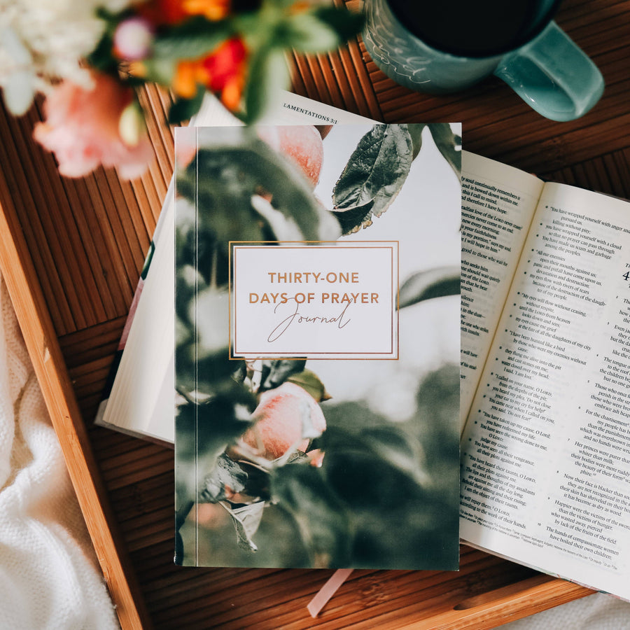 The Daily Grace Co - Thirty-One Days of Prayer Booklet