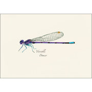 Earth Sky + Water - Damselfly & Dragonfly Assortment II