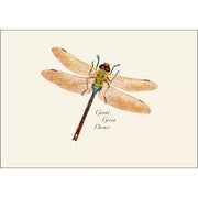 Earth Sky + Water - Dragonfly & Damselfly Assortment