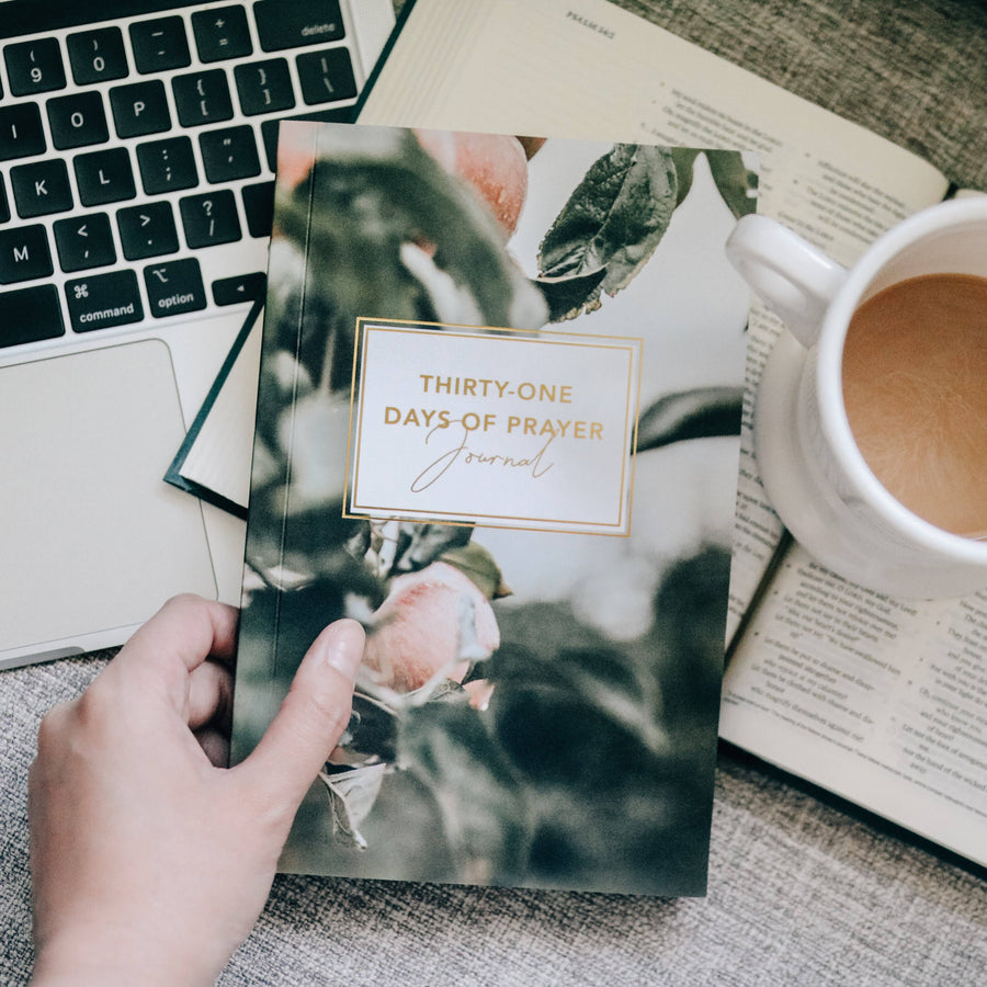 The Daily Grace Co - Thirty-One Days of Prayer Booklet