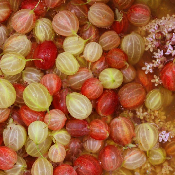 Blake Hill Preserves - Gooseberry with Elderflower