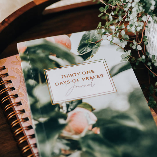 The Daily Grace Co - Thirty-One Days of Prayer Booklet