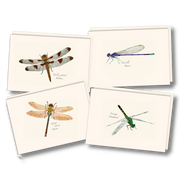 Earth Sky + Water - Dragonfly & Damselfly Assortment