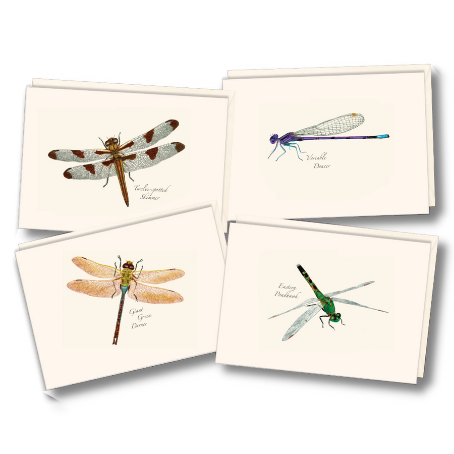 Earth Sky + Water - Dragonfly & Damselfly Assortment