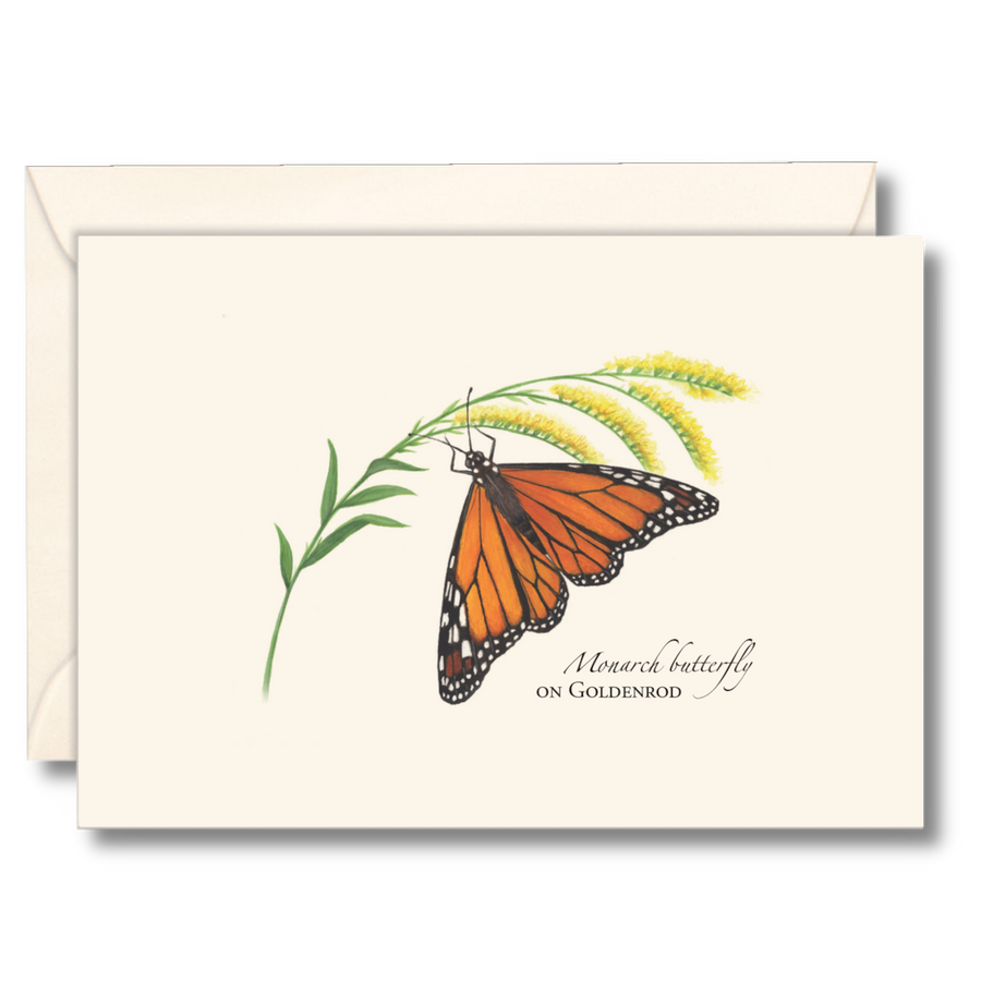 Earth Sky + Water - Monarch Butterfly on Goldenrod