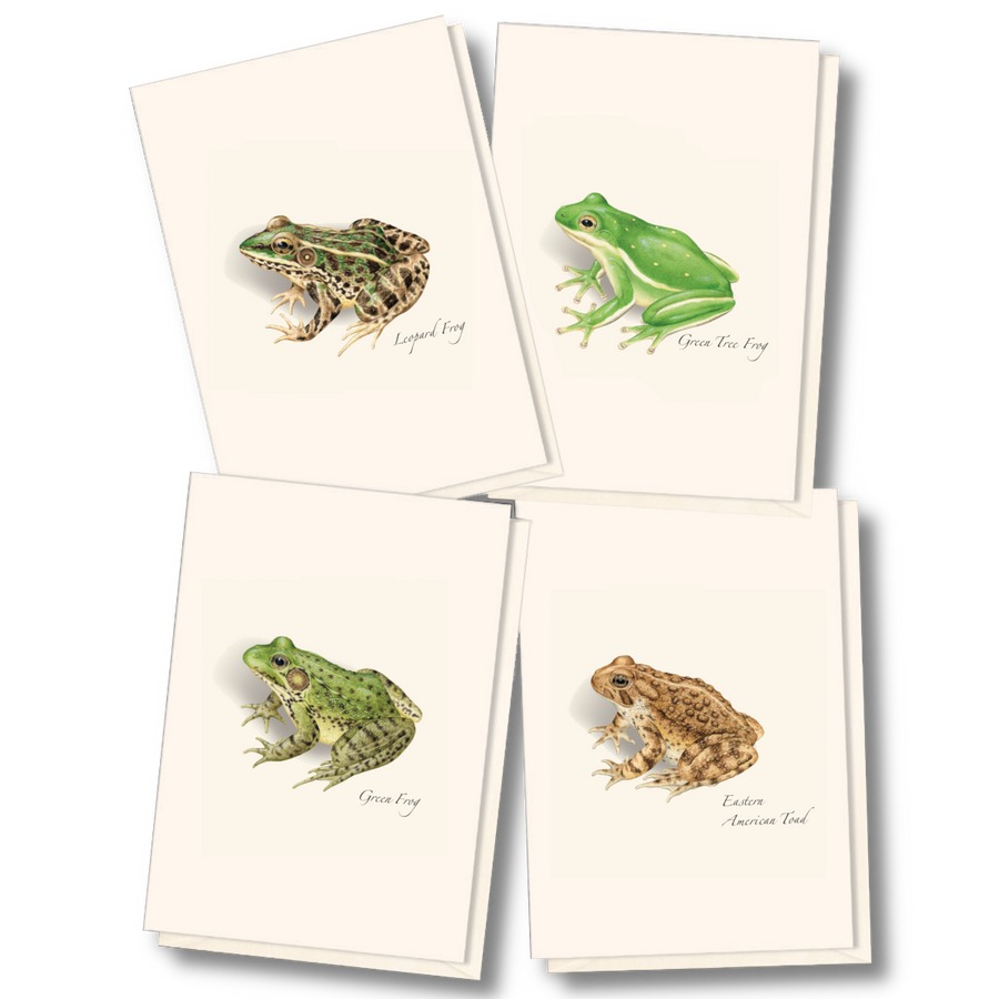 Earth Sky + Water - Frog & Toad Assortment